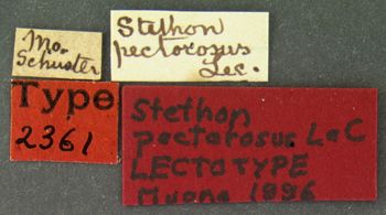 Media type: image;   Entomology 2361 Aspect: labels